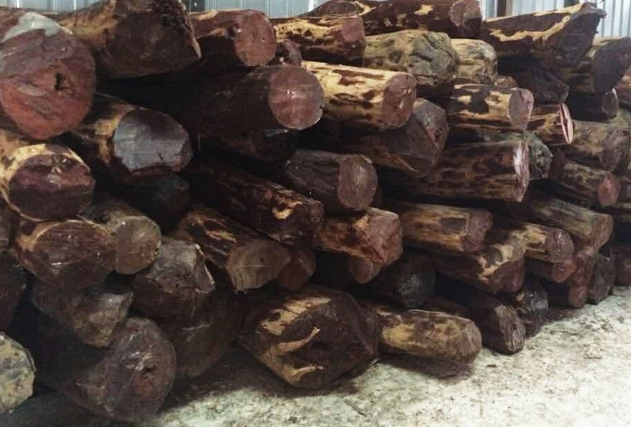 国内木材市场行情一览表