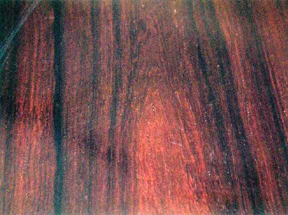马岛紫酸枝—马达加斯加名贵木材