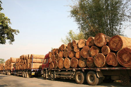 云南为中国红木家具发展作用不可估量