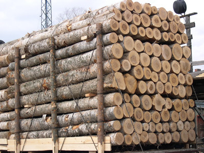 三季度上海等地木材进口数量下滑