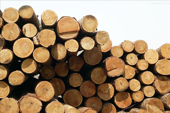 欧盟新条例加速中国红木家具行业洗牌