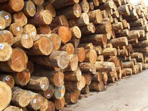 江苏常熟口岸进口木材突破150万立方米