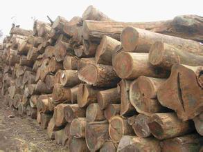 满洲里市口岸委协调进口木材捆绑物返款事宜