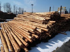 中国木材供应赤字将提高五成