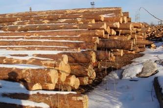 中国大量进口立陶宛木材引当地业界关注