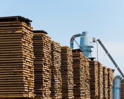 前三季度西伯利亚联邦区出口木材增长18.1%