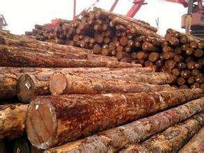 加拿大B.C.省前8月向中国出口木材创新高