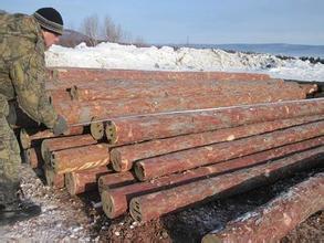 俄罗斯明年可能建立木材交易所