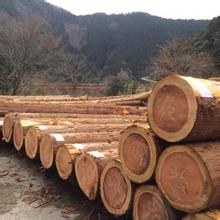 日本木材进口额连续2年低于1万亿日元
