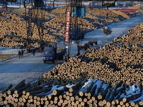 北美木材进驻牡丹江推动木材市场多元化