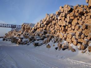 俄罗斯减低木材税收可能在全球引起影响