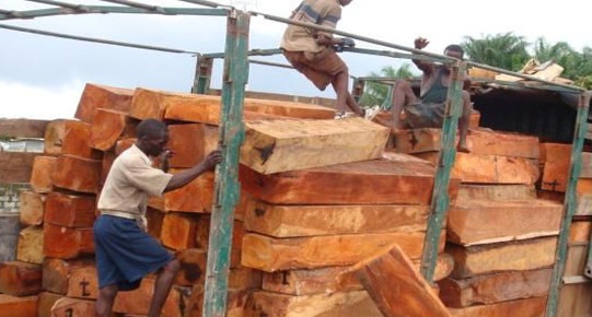 加纳今年4-6月批准出口的木材数量有所下降