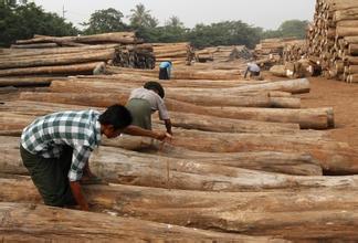 缅甸临时取消木制品等出口贸易税