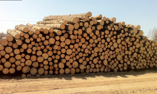 波罗的海软木材销量将迎上升趋势