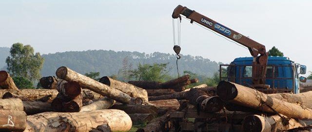 越南积极应对欧美严格木材进口政策
