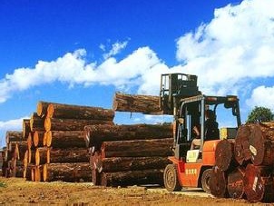 缅甸制定30年林业发展规划