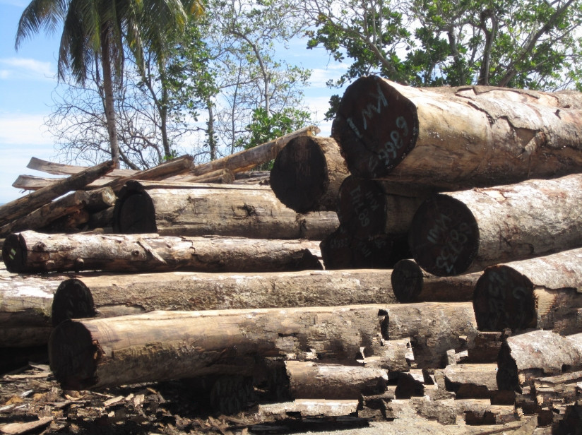 环保组织：越南军方主导偷运老挝木材