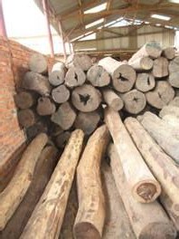 美国木材对华出口猛增 木材工业成美经济亮点