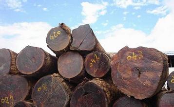 缅甸停止木材来料加工