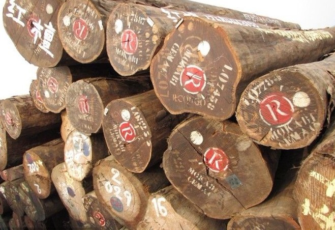 马国政府颁布法令禁止红木出口