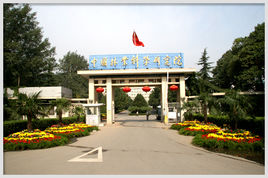 中国林业科学研究院木材工业研究所（北京）