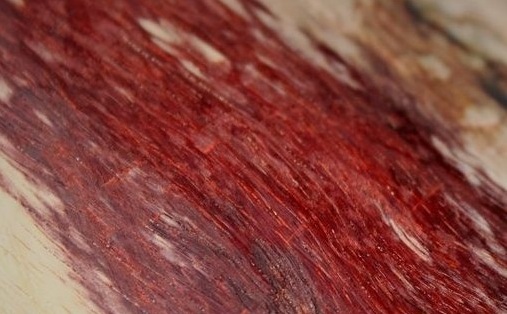 紫檀的渊源、木材特征和相仿木材的辨析