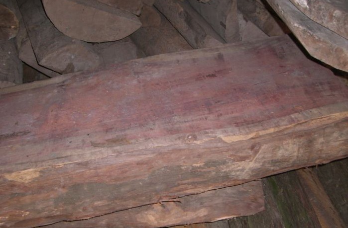 一团伙非法采伐、出售红豆杉原木20根、板材10块被公诉