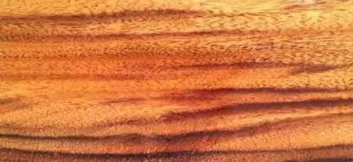 红木替代材：潜伏在木材市场内的大果缧腺豆