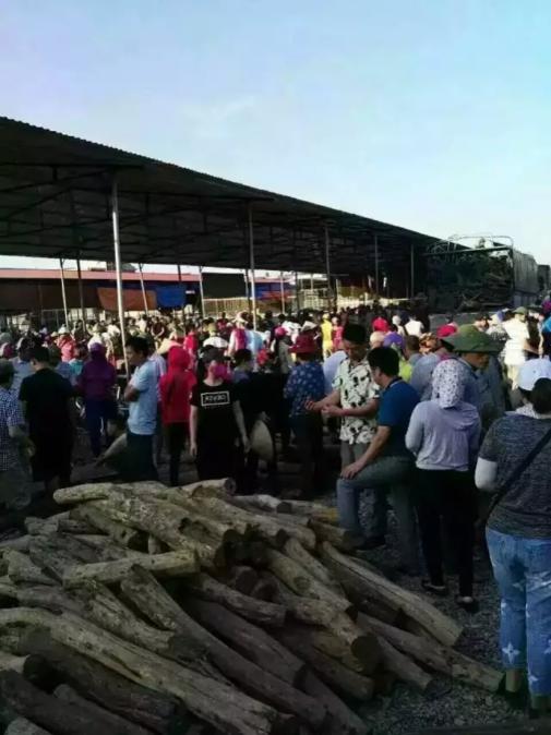 老挝阿速坡省查获超9000立方非法走私木材