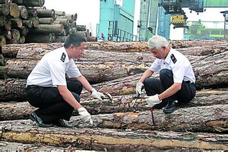 上海口岸检验检疫构建“三位一体”进境原木防控体系
