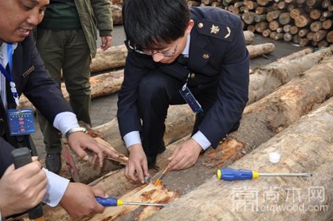 浙江省红木产业协会举行木材检验技能培训