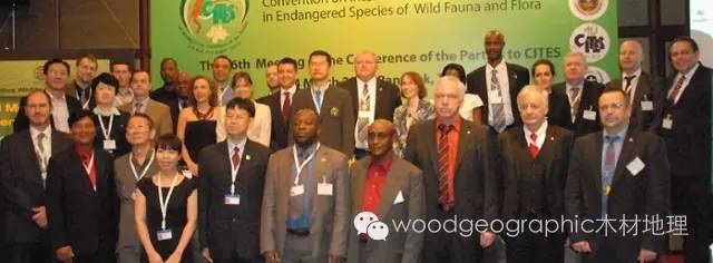 CITES第17届缔约国大会最新消息：全部黄檀属被列入濒危管制 