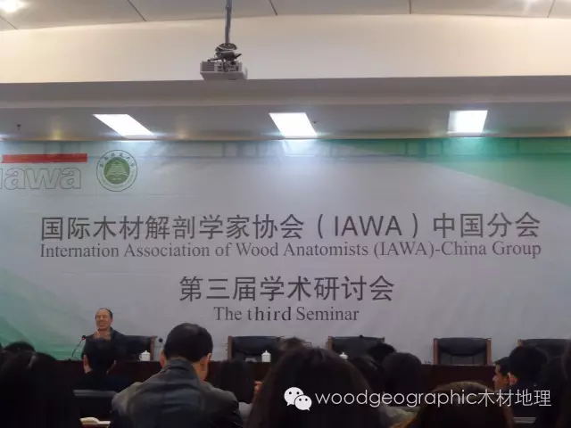 国际木材解剖学家协会中国分会