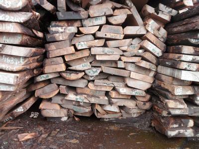 张家港局珍贵木材鉴定图谱团体标准获国内首个立项