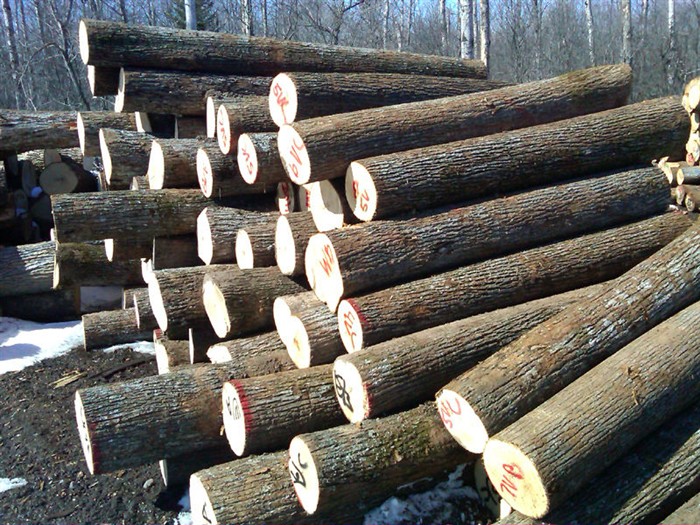 木材价格走强引发家具制造商集体涨价