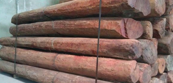 安得拉邦政府有计划拍卖2000公吨紫檀木