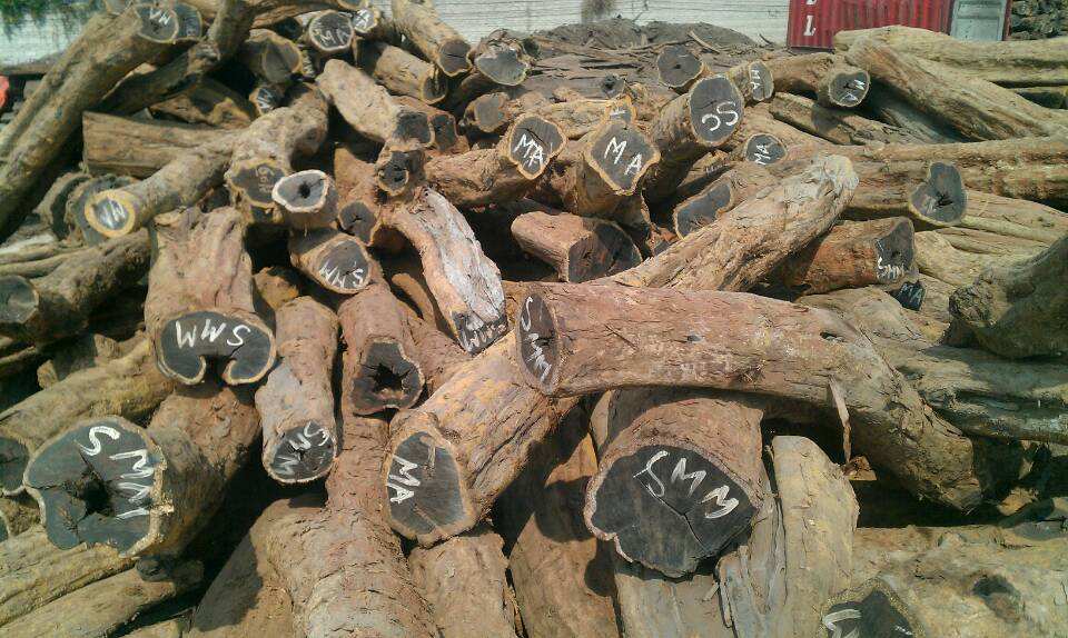 人比木材多，红木市场是真热还是假作？