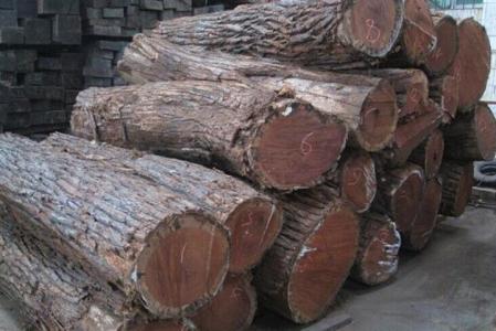 南美木材，为红木市场续命