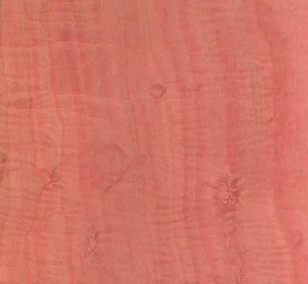 在七夕的时节，连木材都是粉红色的