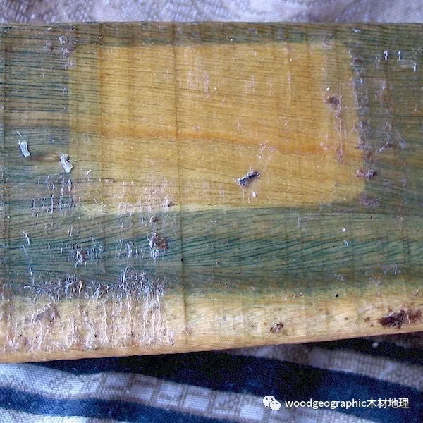 布尔内斯蒺藜（维腊木Verawood，圣檀木Palo Santo）木材简介