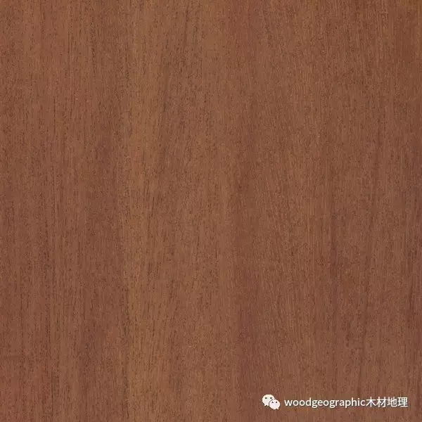 香豆树（二翅豆——Cumaru）木材简介