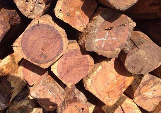 缅甸停止木材出口 未来红木市场花梨称王已成定局