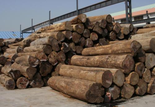 浅谈新形势下进境木材风险防控