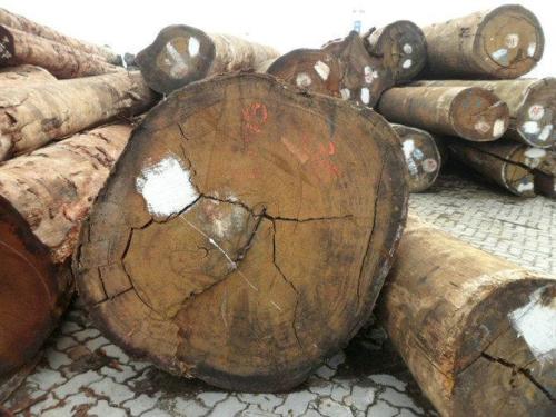 最受市场青睐的木材——非洲十大硬木