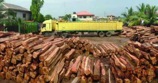 冈比亚继续执行原木出口禁令