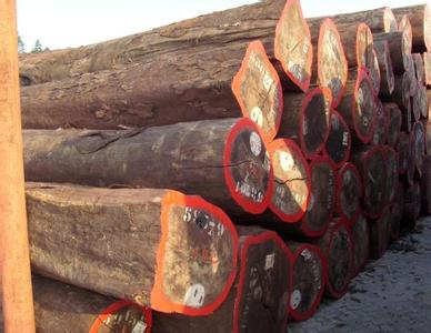 2018年将是南美木材行情整固的关键年
